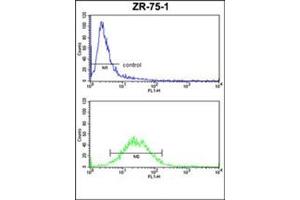 Flow Cytometry analysis of ZR-75-1 cells using CD114 / CSF3R Antibody (Center) Cat. (CSF3R Antikörper  (Middle Region))