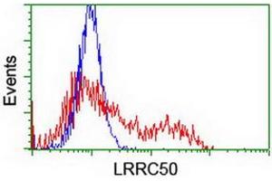 Flow Cytometry (FACS) image for anti-Leucine Rich Repeat Containing 50 (LRRC50) antibody (ABIN1499205) (LRRC50 Antikörper)