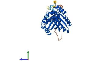 AlphaFold protein structure predicition of Mouse Recombinant Nipsnap2 Protein, UniprotID O55126