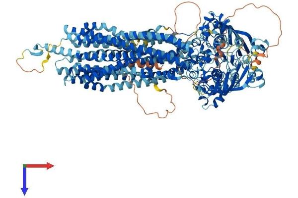 ABCB11 Protein (AA 1-1321) (His tag)