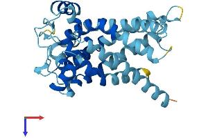 SLC25A35 Protein (AA 1-300) (His tag)