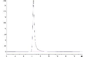 Size-exclusion chromatography-High Pressure Liquid Chromatography (SEC-HPLC) image for Signal-Regulatory Protein alpha (SIRPA) (AA 31-370) protein (His tag) (ABIN7275652)