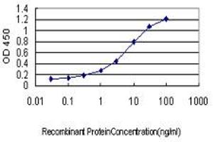 Detection limit for recombinant GST tagged HYI is approximately 0.
