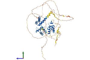 Protein Structure (PS) image for Paired Box 7 (PAX7) (AA 1-503) protein (His tag) (ABIN7563284)