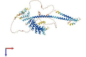 ANKS3 Protein (AA 1-656) (His tag)
