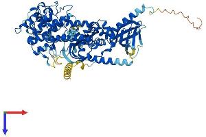 GRK2 Protein (AA 1-689) (His tag)