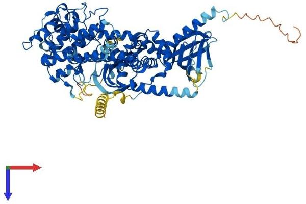 GRK2 Protein (AA 1-689) (His tag)