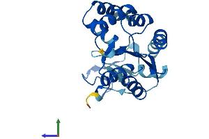 AlphaFold protein structure predicition of Human Recombinant AK4 Protein, UniprotID P27144
