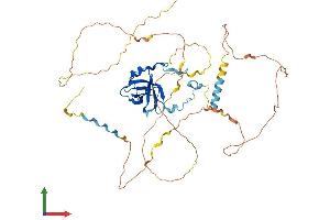 Protein Structure (PS) image for Nuclear ssembly factor 1 ribonucleoprotein (NAF1) (AA 1-494) protein (His tag) (ABIN7549684)