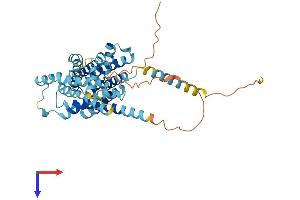 SLC35F3 Protein (AA 1-421) (His tag)
