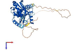 Endonuclease V Protein (ENDOV) (AA 1-338) (His tag)