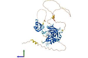AlphaFold protein structure predicition of Mouse Recombinant Hnrnpl Protein, UniprotID Q8R081