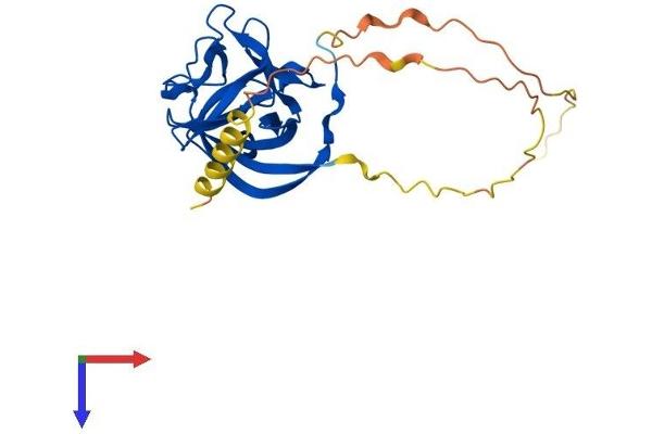 FGF14 Protein (AA 1-247) (His tag)