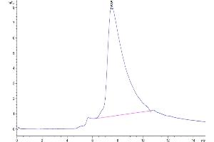The purity of Human/Cynomolgus/Rhesus macaque CD28 was greater than 95 % as determined by SEC-HPLC.