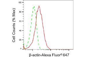 Flow cytometric analysis of β-actin expression in HepG2 cells using β-actin antibody (ABIN7797467), 1:2,000). (Rekombinanter beta Actin Antikörper)