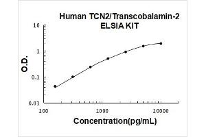 Transcobalamin II (TCN2) ELISA Kit