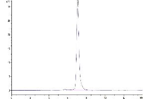 The purity of  Human ROR2 is greater than 95 % as determined by SEC-HPLC.