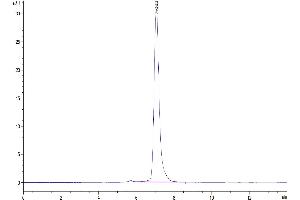The purity of  Human ROR2 is greater than 95 % as determined by SEC-HPLC. (ROR2 Protein (AA 34-403) (Fc Tag))