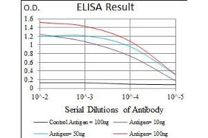 Image no. 3 for anti-Enolase 2 (Gamma, Neuronal) (ENO2) antibody (ABIN1491284) (ENO2/NSE Antikörper)