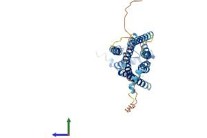 Protein Structure (PS) image for Sphingosine-1-Phosphate Receptor 2 (S1PR2) (AA 1-353) protein (His tag) (ABIN7545894)
