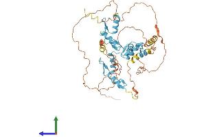 Protein Structure (PS) image for FEZ Family Zinc Finger 2 (FEZF2) (AA 1-455) protein (His tag) (ABIN7561480)