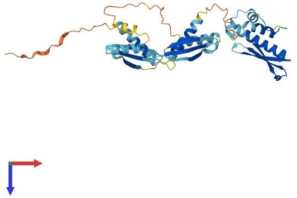 PRKRA Protein (AA 1-313) (His tag)