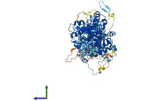 AlphaFold protein structure predicition of Human Recombinant TBCK Protein, UniprotID Q8TEA7