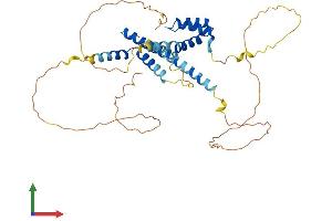 Protein Structure (PS) image for Meis Homeobox 1 (MEIS1) (AA 1-390) protein (His tag) (ABIN7549350)