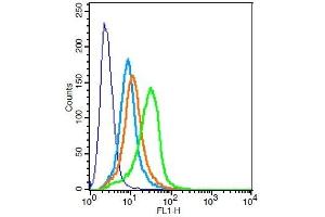H9C2 cells probed with Rabbit Anti-DR6 Polyclonal Antibody, Unconjugated  at 1:100 for 30 minutes followed by incubation with a conjugated secondary -FITC) (green) for 30 minutes compared to control cells (blue), secondary only (light blue) and isotype control (orange). (TNFRSF21 Antikörper  (AA 101-200))