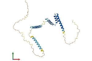 Protein Structure (PS) image for Eukaryotic Translation Initiation Factor 3 Subunit J (EIF3S1) (AA 1-261) protein (His tag) (ABIN7557186)