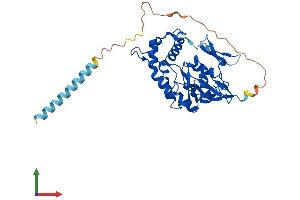 Protein Structure (PS) image for Heparan Sulfate (Glucosamine) 3-O-Sulfotransferase 5 (HS3ST5) (AA 1-346) protein (His tag) (ABIN7554113)