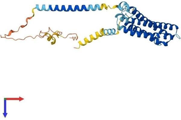SCAMP2 Protein (AA 1-329) (His tag)