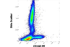 Flow cytometry surface staining pattern of human peripheral whole blood stained using anti-human CD160 (BY55) PE antibody (10 μL reagent / 100 μL of peripheral whole blood). (CD160 Antikörper  (PE))