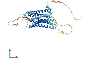 AlphaFold protein structure predicition of Human Recombinant AVPR2 Protein, UniprotID P30518