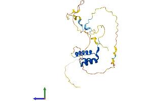Protein Structure (PS) image for Homeobox D4 (HOXD4) (AA 1-250) protein (His tag) (ABIN7562827)