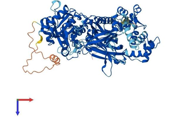 PLCD4 Protein (AA 1-762) (His tag)