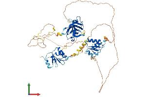 Protein Structure (PS) image for X-Ray Repair Complementing Defective Repair in Chinese Hamster Cells 1 (XRCC1) (AA 1-633) protein (His tag) (ABIN7545206)