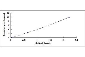 Typical standard curve (STOML2 ELISA Kit)