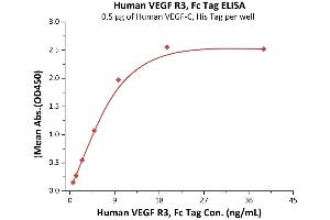 ELISA image for Fms-Related Tyrosine Kinase 4 (FLT4) (AA 25-776) (Active) protein (Fc Tag) (ABIN5526635)
