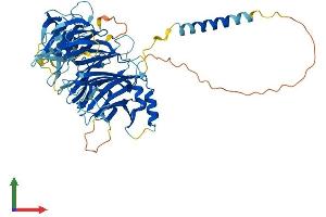 AlphaFold protein structure predicition of Mouse Recombinant Fam234a Protein, UniprotID Q8C0Z1