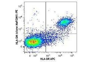 Flow Cytometry (FACS) image for anti-MHC Class II HLA-DM (HLA-DM) antibody (PE) (ABIN2662747) (HLA-DM Antikörper  (PE))