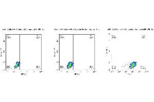 FACS Analysis of Anti-EGFRVIII CAR Expression. (EGFRviii Protein (AA 25-378) (FITC,His-Avi Tag))
