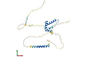Protein Structure (PS) image for TIMELESS Interacting Protein (TIPIN) (AA 1-278) protein (His tag) (ABIN7560022)