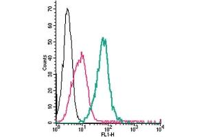 Cell surface detection of CRLR/CALCRL by direct flow cytometry in live intact mouse J774 macrophage cells: + Rabbit IgG isotype control-FITC. (CALCRL Antikörper  (Extracellular) (FITC))