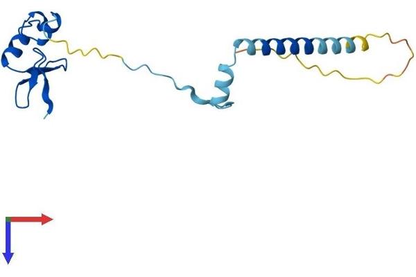 RPL24 Protein (AA 1-157) (His tag)
