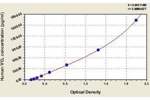 Typical standard curve (Vinculin ELISA Kit)