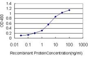 Detection limit for recombinant GST tagged HDAC1 is approximately 0. (HDAC1 Antikörper  (AA 1-482))
