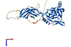 PHYHIPL Protein (AA 1-375) (His tag)