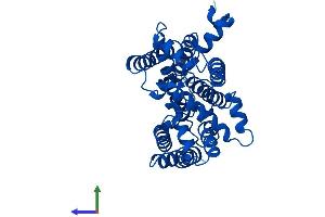 AlphaFold protein structure predicition of Human Recombinant MT-CYB Protein, UniprotID P00156