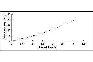 Typical standard curve (SYT17 ELISA Kit)